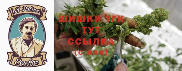 мет Алексин