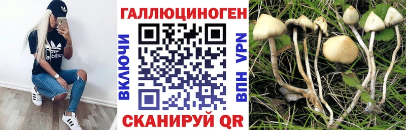Псилоцибиновые грибы MAGIC MUSHROOMS Анжеро-Судженск